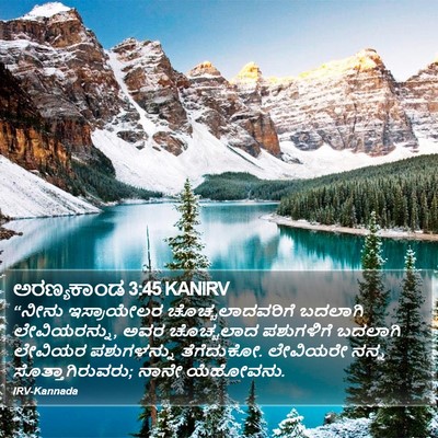 ಅರಣ್ಯಕಾಂಡ 3:45 KANIRV Bible Verse Image