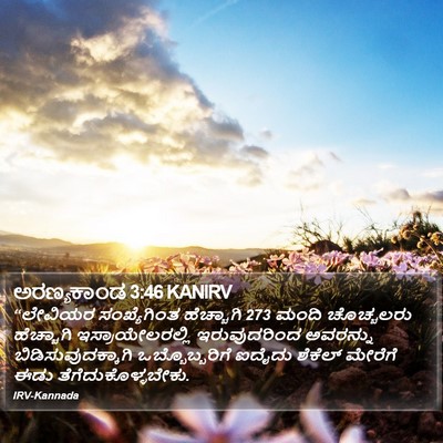 ಅರಣ್ಯಕಾಂಡ 3:46 KANIRV Bible Verse Image