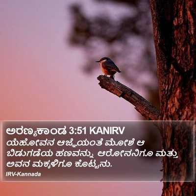 ಅರಣ್ಯಕಾಂಡ 3:51 KANIRV Bible Verse Image