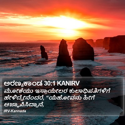 ಅರಣ್ಯಕಾಂಡ 30:1 KANIRV Bible Verse Image