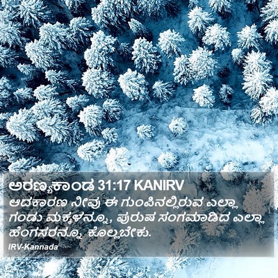 ಅರಣ್ಯಕಾಂಡ 31:17 KANIRV Bible Verse Image