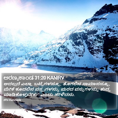 ಅರಣ್ಯಕಾಂಡ 31:20 KANIRV Bible Verse Image