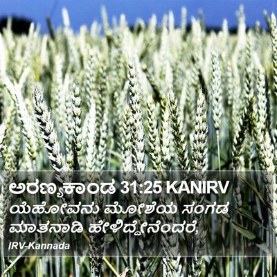 ಅರಣ್ಯಕಾಂಡ 31:25 KANIRV Bible Verse Image