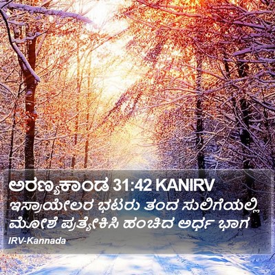 ಅರಣ್ಯಕಾಂಡ 31:42 KANIRV Bible Verse Image