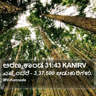 ಅರಣ್ಯಕಾಂಡ 31:43 KANIRV Bible Verse Image