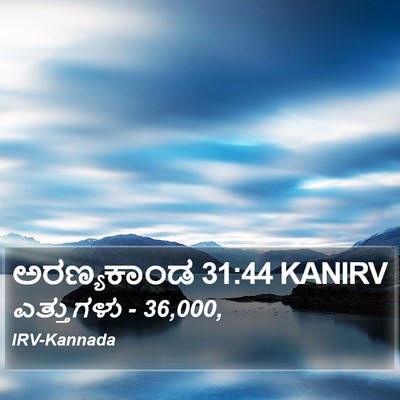 ಅರಣ್ಯಕಾಂಡ 31:44 KANIRV Bible Verse Image