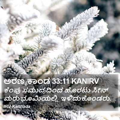 ಅರಣ್ಯಕಾಂಡ 33:11 KANIRV Bible Verse Image
