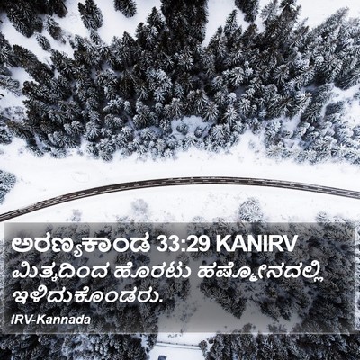 ಅರಣ್ಯಕಾಂಡ 33:29 KANIRV Bible Verse Image