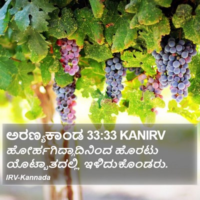 ಅರಣ್ಯಕಾಂಡ 33:33 KANIRV Bible Verse Image