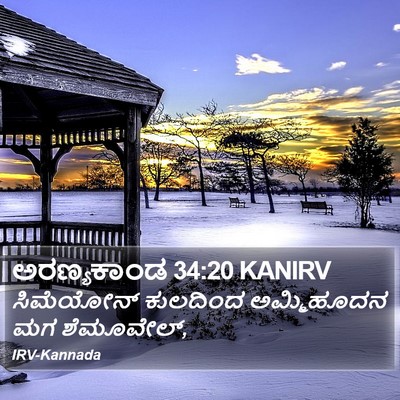 ಅರಣ್ಯಕಾಂಡ 34:20 KANIRV Bible Verse Image
