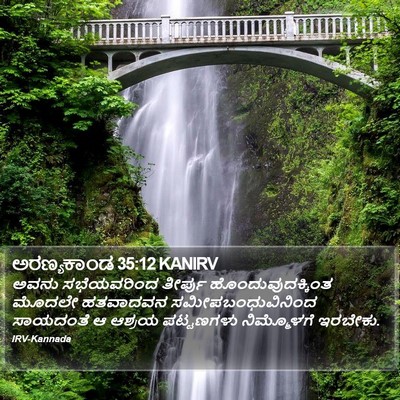 ಅರಣ್ಯಕಾಂಡ 35:12 KANIRV Bible Verse Image