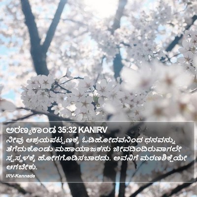 ಅರಣ್ಯಕಾಂಡ 35:32 KANIRV Bible Verse Image