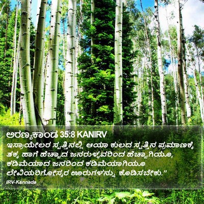 ಅರಣ್ಯಕಾಂಡ 35:8 KANIRV Bible Verse Image