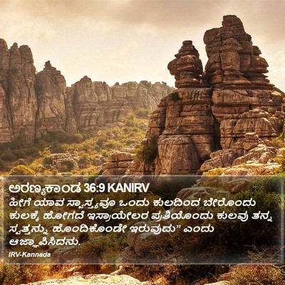 ಅರಣ್ಯಕಾಂಡ 36:9 KANIRV Bible Verse Image