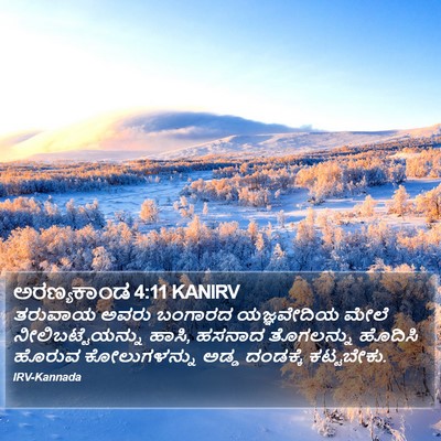 ಅರಣ್ಯಕಾಂಡ 4:11 KANIRV Bible Verse Image