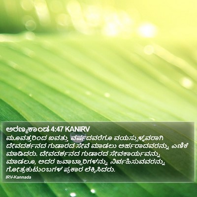 ಅರಣ್ಯಕಾಂಡ 4:47 KANIRV Bible Verse Image