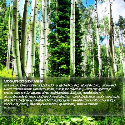 ಅರಣ್ಯಕಾಂಡ 5:15 KANIRV Bible Verse Image