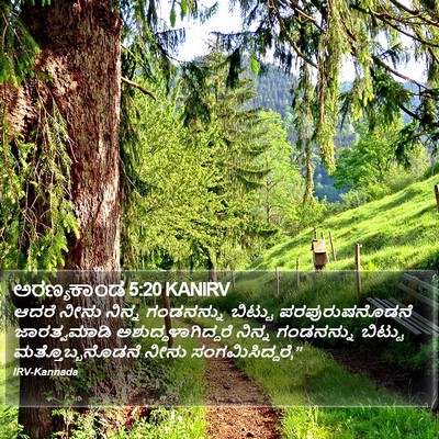 ಅರಣ್ಯಕಾಂಡ 5:20 KANIRV Bible Verse Image