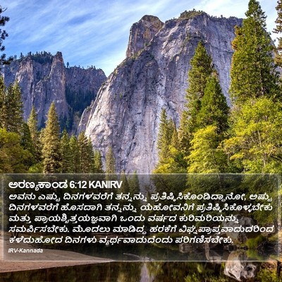 ಅರಣ್ಯಕಾಂಡ 6:12 KANIRV Bible Verse Image