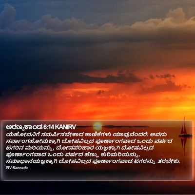 ಅರಣ್ಯಕಾಂಡ 6:14 KANIRV Bible Verse Image