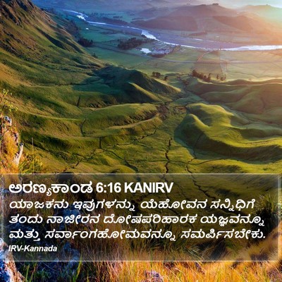 ಅರಣ್ಯಕಾಂಡ 6:16 KANIRV Bible Verse Image