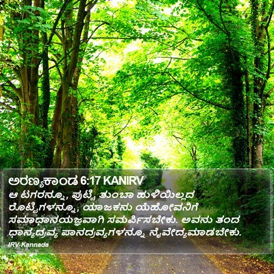 ಅರಣ್ಯಕಾಂಡ 6:17 KANIRV Bible Verse Image