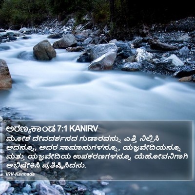 ಅರಣ್ಯಕಾಂಡ 7:1 KANIRV Bible Verse Image