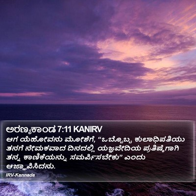 ಅರಣ್ಯಕಾಂಡ 7:11 KANIRV Bible Verse Image
