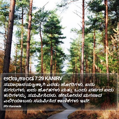 ಅರಣ್ಯಕಾಂಡ 7:29 KANIRV Bible Verse Image