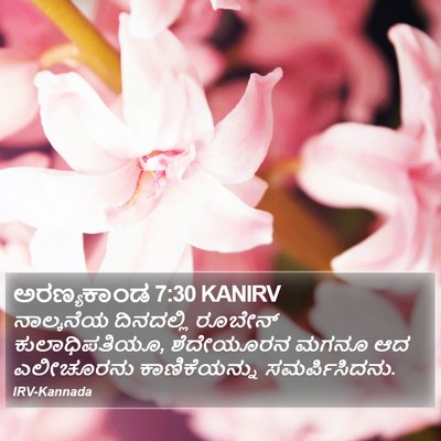 ಅರಣ್ಯಕಾಂಡ 7:30 KANIRV Bible Verse Image