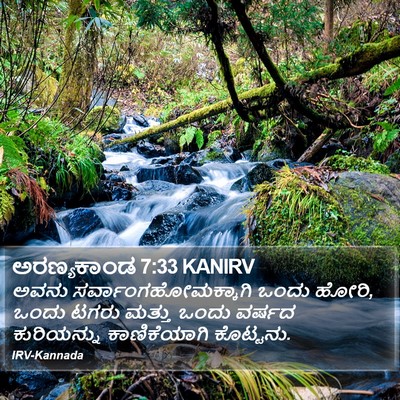 ಅರಣ್ಯಕಾಂಡ 7:33 KANIRV Bible Verse Image