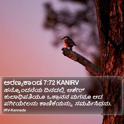 ಅರಣ್ಯಕಾಂಡ 7:72 KANIRV Bible Verse Image