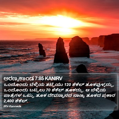 ಅರಣ್ಯಕಾಂಡ 7:85 KANIRV Bible Verse Image