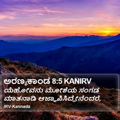 ಅರಣ್ಯಕಾಂಡ 8:5 KANIRV Bible Verse Image