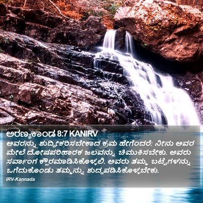 ಅರಣ್ಯಕಾಂಡ 8:7 KANIRV Bible Verse Image