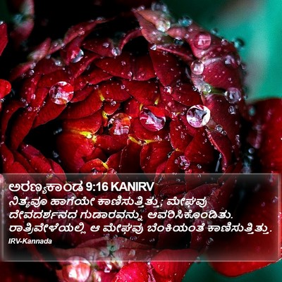ಅರಣ್ಯಕಾಂಡ 9:16 KANIRV Bible Verse Image