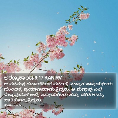 ಅರಣ್ಯಕಾಂಡ 9:17 KANIRV Bible Verse Image