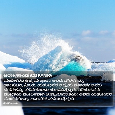 ಅರಣ್ಯಕಾಂಡ 9:23 KANIRV Bible Verse Image