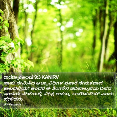 ಅರಣ್ಯಕಾಂಡ 9:3 KANIRV Bible Verse Image