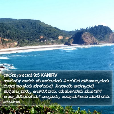 ಅರಣ್ಯಕಾಂಡ 9:5 KANIRV Bible Verse Image