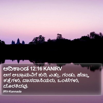 ಆದಿಕಾಂಡ 12:16 KANIRV Bible Verse Image