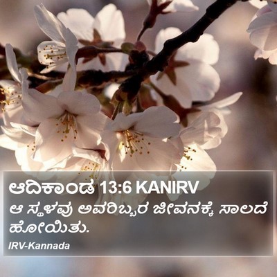 ಆದಿಕಾಂಡ 13:6 KANIRV Bible Verse Image