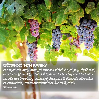 ಆದಿಕಾಂಡ 14:14 KANIRV Bible Verse Image