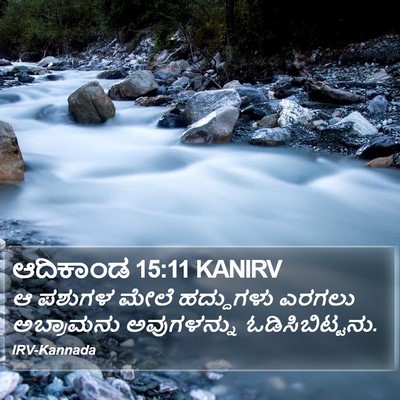 ಆದಿಕಾಂಡ 15:11 KANIRV Bible Verse Image
