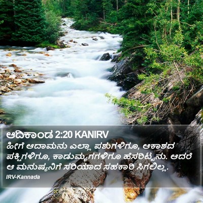 ಆದಿಕಾಂಡ 2:20 KANIRV Bible Verse Image