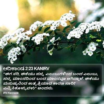 ಆದಿಕಾಂಡ 2:23 KANIRV Bible Verse Image