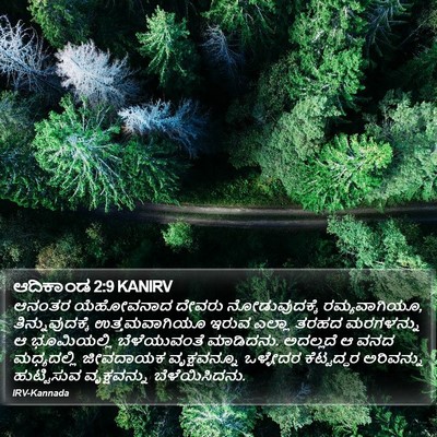 ಆದಿಕಾಂಡ 2:9 KANIRV Bible Verse Image