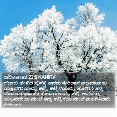 ಆದಿಕಾಂಡ 22:9 KANIRV Bible Verse Image