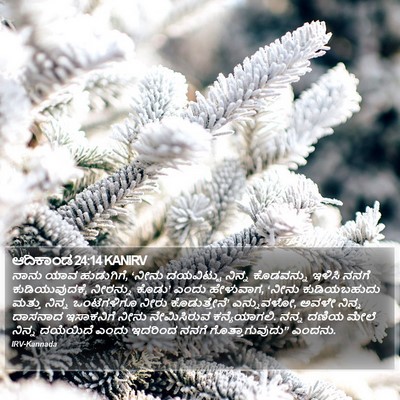 ಆದಿಕಾಂಡ 24:14 KANIRV Bible Verse Image
