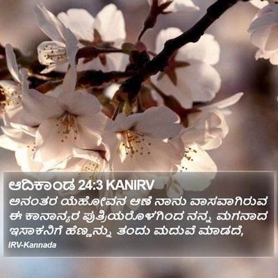 ಆದಿಕಾಂಡ 24:3 KANIRV Bible Verse Image